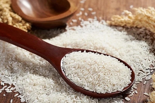 Mặt hàng gạo chiếm gần 30% tổng kim ngạch xuất khẩu hàng hóa sang Philippines