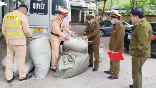 Lạng Sơn: Phát hiện, thu giữ gần 400 kg đương quy, hoàng kỳ nhập lậu từ Trung Quốc