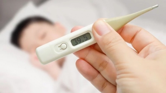 Đồng Tháp: Tăng cường phòng, chống bệnh sốt xuất huyết, Zika, Chikungunya