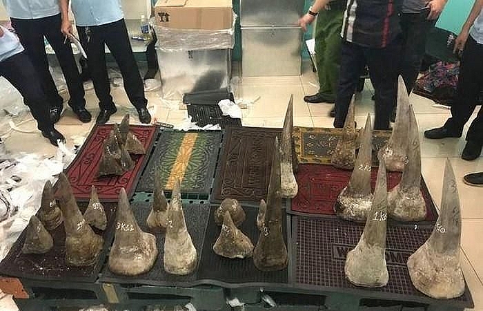 Hải quan bắt giữ gần 93 kg nghi sừng tê giác nhập lậu tại Tân Sơn Nhất