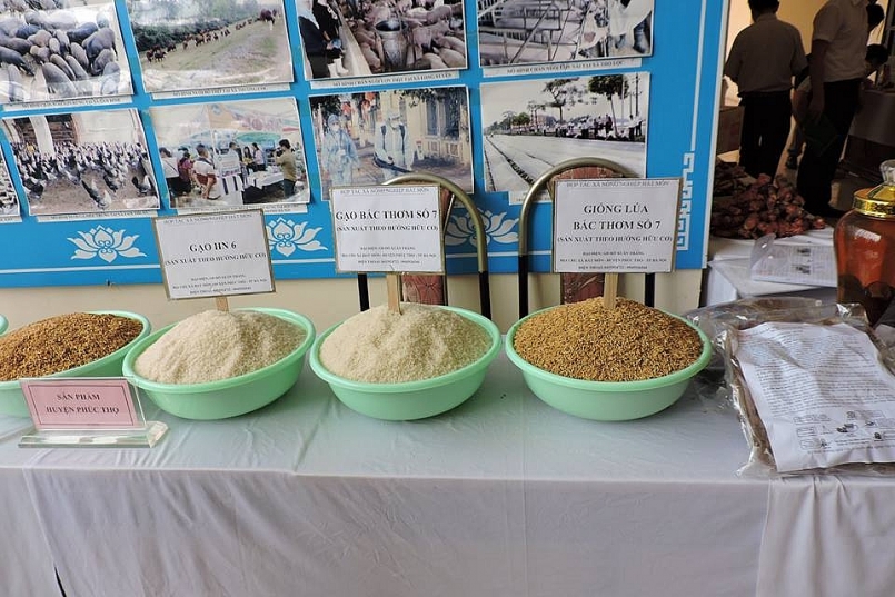 Tỷ trọng gạo chất lượng cao chiếm trên 85% gạo xuất khẩu, đã góp phần nâng giá gạo xuất khẩu bình quân  lên 496 USD/tấn
