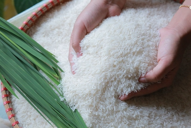 Cập nhật giá lúa gạo hôm nay 06/01/2022: Tăng 100 đồng/kg ở một số giống lúa