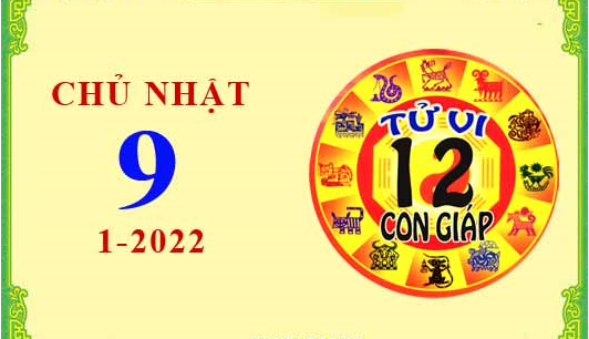 Xem chi tiết tử vi hôm nay Chủ Nhật ngày 09/01/2022: Tỵ đón tin vui tài lộc, Tý tiền bạc hao hụt