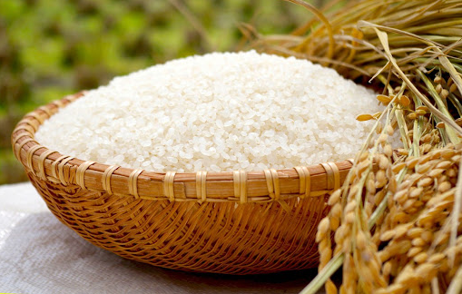 Cập nhật giá lúa gạo hôm nay 10/01/2022: Đầu tuần giảm nhẹ 50 - 100 đồng/kg