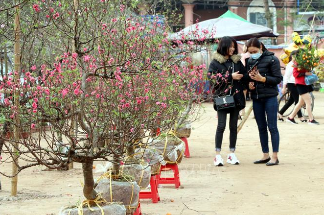 Hà Nội tổ chức 78 điểm chợ hoa Xuân dịp Tết 2022