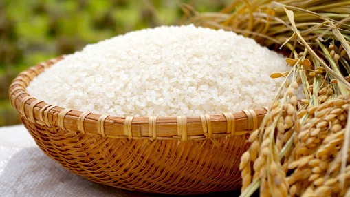 Cập nhật giá lúa gạo hôm nay 14/01/2022: Thị trường ổn định
