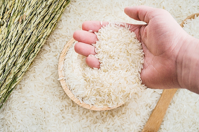 Cập nhật giá lúa gạo hôm nay 15/01/2022: Giá lúa tăng, giá gạo ổn định