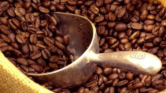 Cập nhật giá cà phê hôm nay 17/01/2022: Ổn định ngày đầu tuần