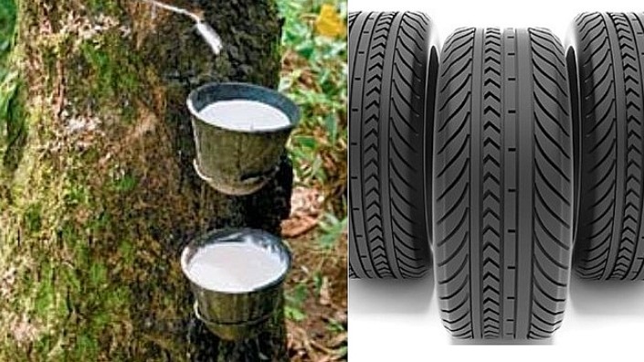 Cập nhật giá cao su hôm nay 18/01/2022: Đồng loạt tăng tại các sàn châu Á