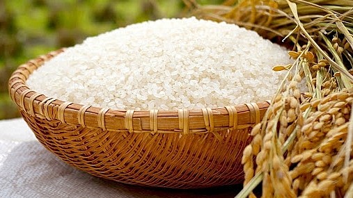 Cập nhật giá lúa gạo hôm nay 21/01/2022: Giá lúa ổn định, giá gạo điều chỉnh giảm