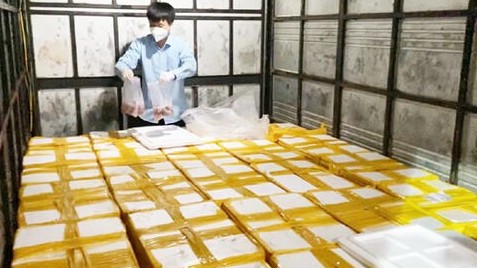 Thanh Hóa: Bắt giữ xe tải vận chuyển 1.750 kg cá khoai ướp phoóc môn