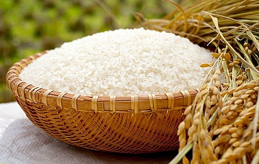 Thị trường gạo châu Á: Giá gạo xuất khẩu của Việt Nam giảm mạnh