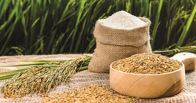 Cập nhật giá lúa gạo hôm nay 25/4/2022: Duy trì ổn định