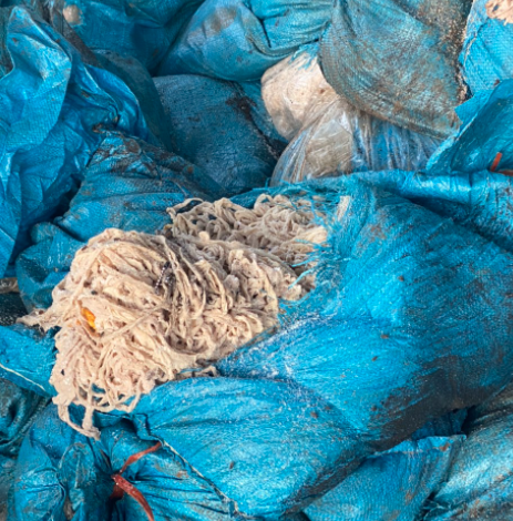 Hải Dương: Tiêu hủy hơn 1.000 kg vỏ lòng non lợn bốc mùi hôi thối