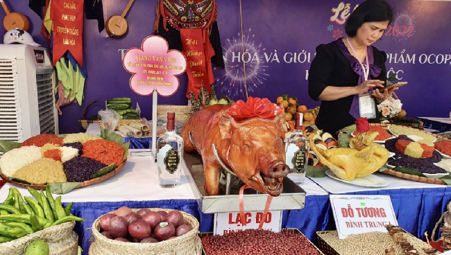 Lạng Sơn khởi động mùa du lịch bằng Lễ hội Kỳ hoa hoành tráng