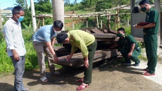 Thừa Thiên - Huế: Bắt giữ xe tải vận chuyển 22 phách gỗ quý trái phép