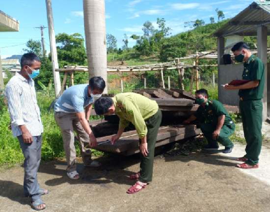 Thừa Thiên - Huế: Bắt giữ xe tải vận chuyển 22 phách gỗ quý trái phép