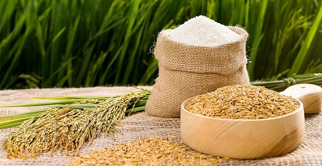 Cập nhật giá lúa gạo hôm nay 12/5/2022: Đứng yên yên toàn thị trường