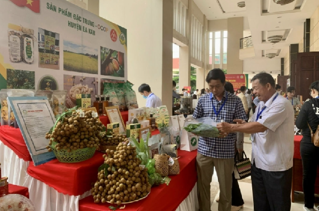 Thu nhập người dân ở Đắk Lắk tăng cao nhờ xây dựng nông thôn mới