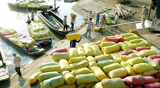 Cập nhật giá lúa gạo hôm nay 19/5/2022: Giá gạo xuất khẩu tăng 2 USD/tấn