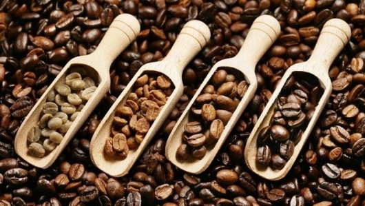 Cập nhật giá cà phê hôm nay 23/5/2022: Đứng yên trên toàn quốc