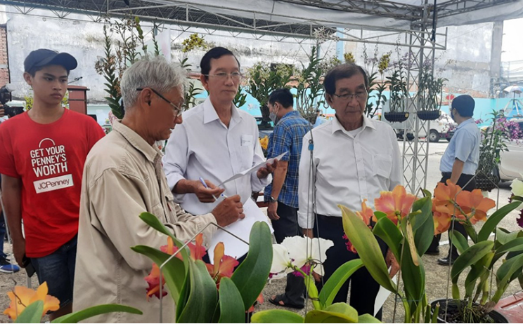  Ban Giám khảo chấm thi hoa lan tại Hội thi hoa lan và cây kiểng được tổ chức tại nội chợ.