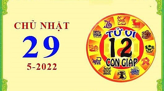 Xem chi tiết tử vi hôm nay Chủ Nhật ngày 29/5/2022: Dần tài vận đi lên, Hợi vướng phải rắc rối