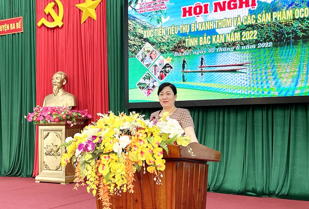 Bà Đỗ Thị Minh Hoa - Phó Chủ tịch UBND Bắc Kạn phát biểu tại hội nghị