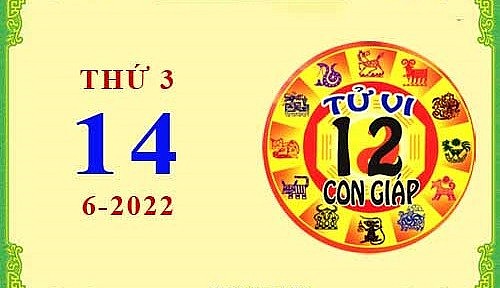 Xem chi tiết tử vi hôm nay Thứ Ba ngày 14/6/2022: Tý tài lộc vượng sắc, Dậu vận trình bấp bênh