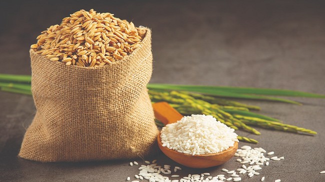 Cập nhật giá lúa gạo hôm nay 18/6/2022: Giá gạo giảm 50 đồng/kg