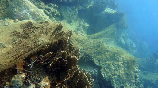 Lưới đánh cá của ngư dân quấn vào các rạn san hô tại Khu Bảo tồn biển vịnh Nha Trang