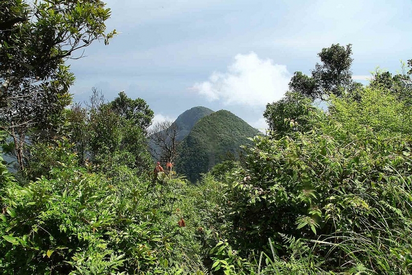 Review Tam Đảo: Top 10 địa điểm du lịch nổi tiếng ở khu du lịch Tam Đảo