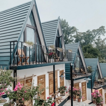 Review Tam Đảo: Top 10 homestay giá rẻ ở Tam Đảo