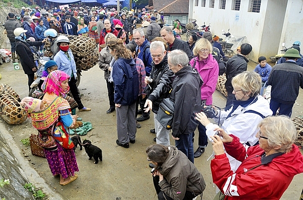 Phiên chợ chó Bắc Hà thu hút khách du lịch.