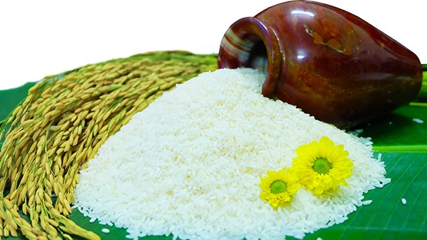 Giá lúa gạo hôm nay 1/7/2022: Giá gạo Việt vượt gạo Thái 8 USD/tấn