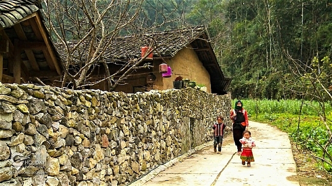 Địa điểm ngắm hoa tam giác mạch ở Hà Giang Địa điểm ngắm hoa tam giác mạch ở Hà Giang