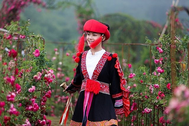 Review Sapa: Khám phá “Thung lũng hoa hồng”