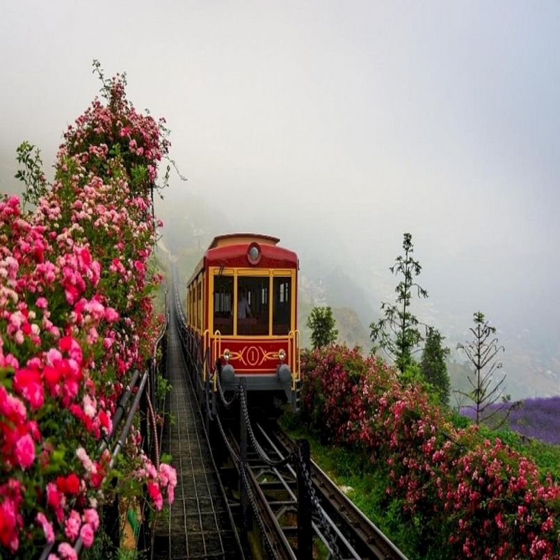 thung lũng hoa hồng