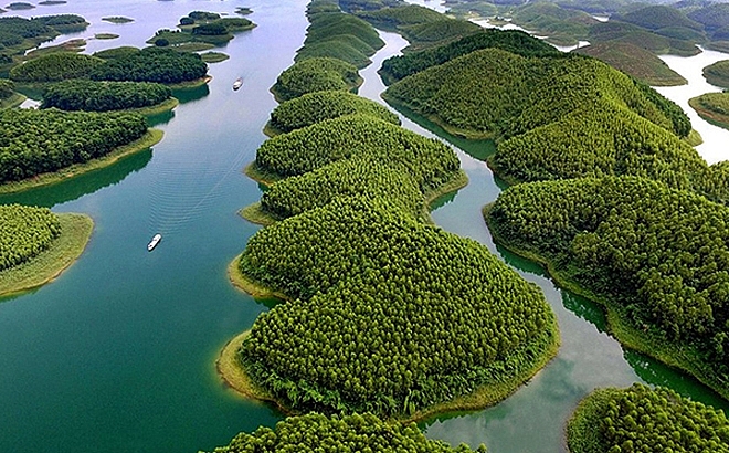 Những hòn đảo lớn nhỏ trên hồ Thác Bà phủ kín màu xanh của những rừng cây kinh tế