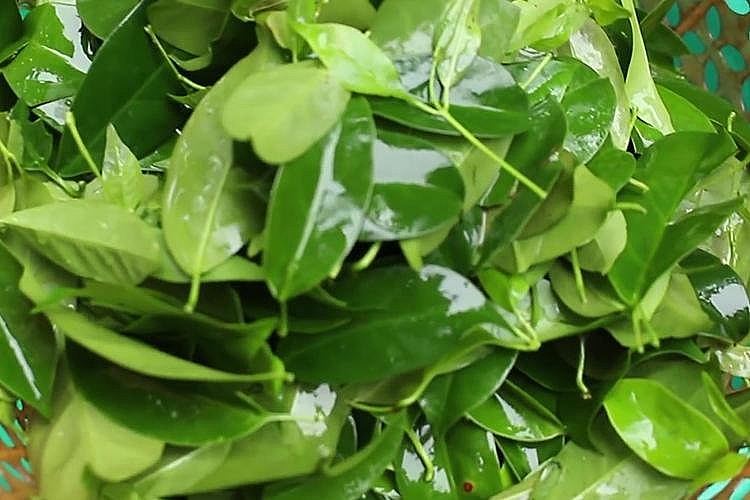 Top 10 món ăn đặc sản Hòa Bình ngon nức tiếng