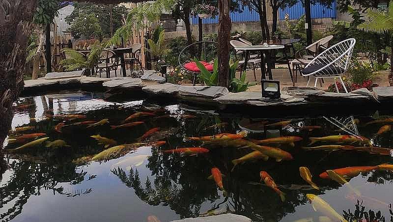 Top 10 quán cafe view đẹp Mộc Châu mà du khách nên thưởng thức