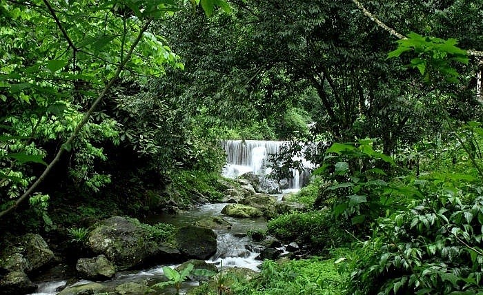 Cảnh vật xanh rì, tràn đầy sức sống quanh thác Tiên Tắm - Ảnh-Tung GP