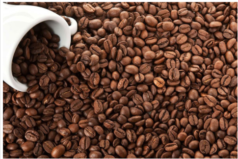 Giá cà phê hôm nay 12/9: Giảm 500 - 600 đồng/kg trong tuần