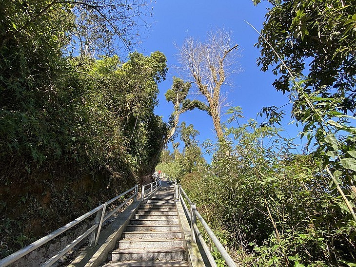  Đi bộ hết đường bê tông là cầu thang 500 bậc dẫn lên cột mốc.