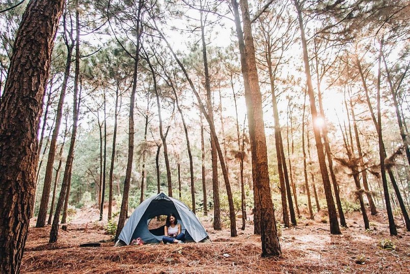 Trải nghiệm cắm trại ở rừng thông bản Áng