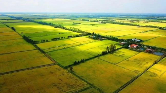 Chi phí chuyển đất trồng lúa sang phi nông nghiệp được tính như thế nào?
