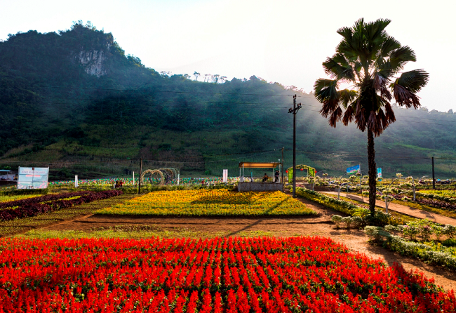 Tham quan bình nguyên xanh Khai Trung - Vẻ đẹp tiềm ẩn của mảnh đất Lục Yên