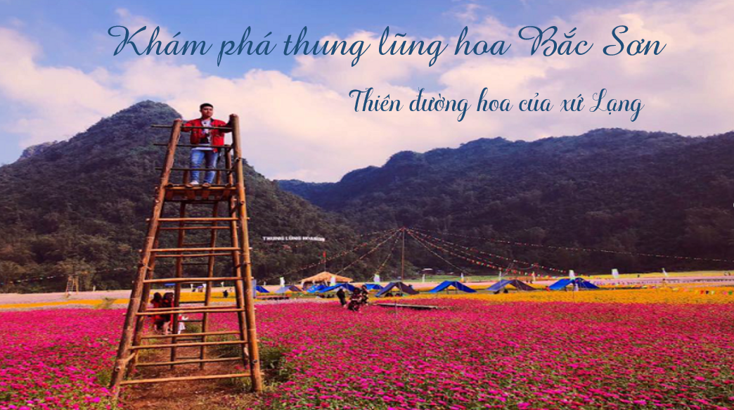Khám phá thung lũng hoa Bắc Sơn - Thiên đường hoa của xứ Lạng
