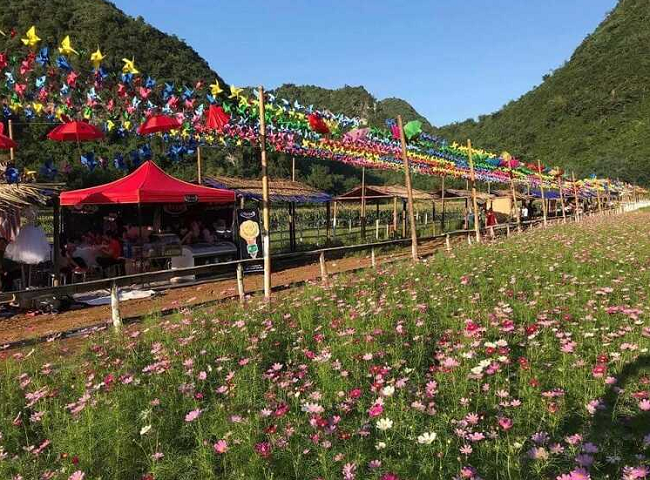 Khám phá thung lũng hoa Bắc Sơn - Thiên đường hoa của xứ Lạng