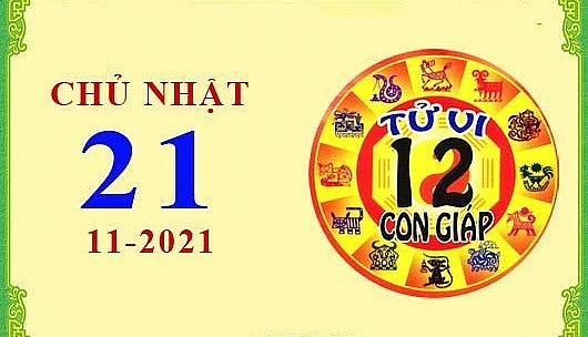 Xem chi tiết tử vi hôm nay Chủ Nhật ngày 21/11/2021: Tỵ gặp nhiều may mắn, Dậu dính nhiều thị phi
